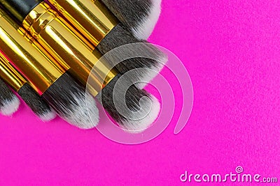 Makeup products. Cosmetic drawing brushes for powder with copy s Stock Photo