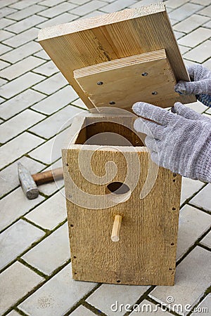Making a birdhouse from boards spring season Stock Photo