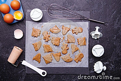 Making cookies in form rocket, ufo, alian and astronaut for world cosmonautics day. Stock Photo