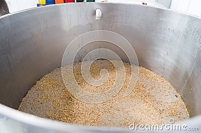 Making craft beer, stainless steel homebrewing equipment, recirculating the must Stock Photo