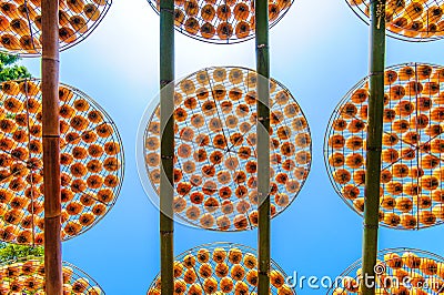 Making dried persimmon under sunlight in taiwan Stock Photo