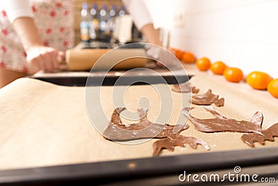 Making gingerbread cookies for Christmas in kitchen. Woman`s han Stock Photo