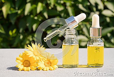 Making natural herbal cosmetics at home - dropper bottles with calendula oil against green leaves Stock Photo