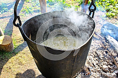 Making organic cheese in mountain farm Stock Photo