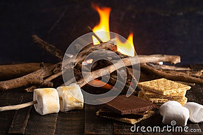 Making Smores on a Campfire Stock Photo