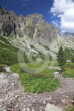 Mala studena dolina - valley in High Tatras, Slova Stock Photo