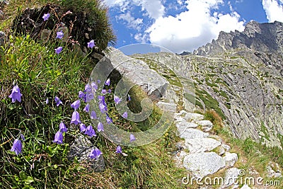 Mala studena dolina - valley in High Tatras, Slovakia Stock Photo