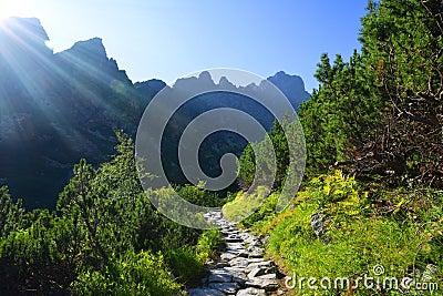 Mala Studena Dolina in Tatra Mountains, Slovakia. Stock Photo