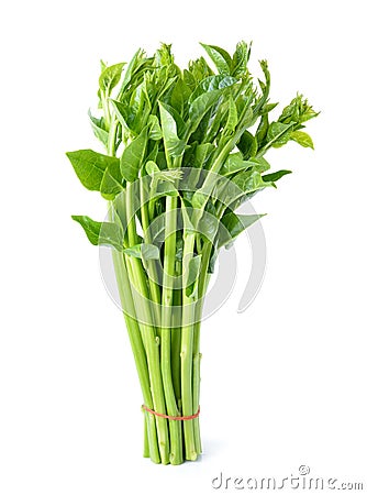 Malabar spinach or Ceylon spinach Stock Photo