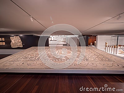 Tourist enjoying archeological pieces in Palacio de la Aduana/Museum of Malaga Editorial Stock Photo