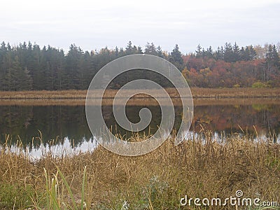 Malagash in Fall Stock Photo