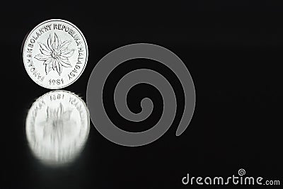 Malagasy coin two franc 1981 on the edge on black background with reflection Stock Photo