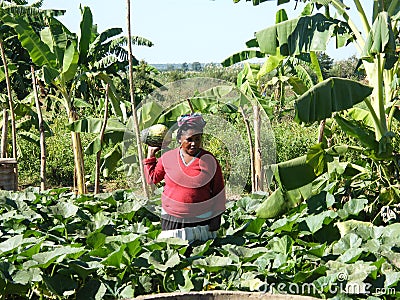 Malagasy native woman Editorial Stock Photo