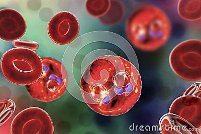 The malaria-infected red blood cells Cartoon Illustration