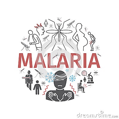 Malaria line icon banner. Infographics. Symptoms, Vector signs for web graphics. Vector Illustration