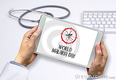 MALARIA mosquito sucking blood World Malaria Day Zika virus alert Stock Photo