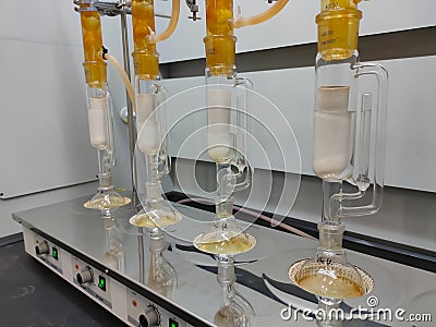 Selective focus. The process of obtaining oil content from kernal palm seeds is done in a laboratory Editorial Stock Photo