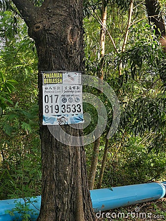 Malaysian money lender sign hanging on the tree. Editorial Stock Photo