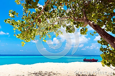 Maldives paradise sandy beach, Hangnaameedhoo, Maledives. Copy space for text Stock Photo