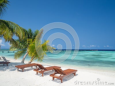 Maldives tropical islands panoramic scene, idyllic beach palm tree vegetation and clear water Indian ocean sea, tourist resort Stock Photo