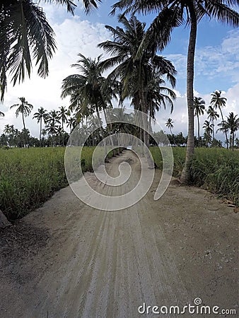 Maldives Stock Photo