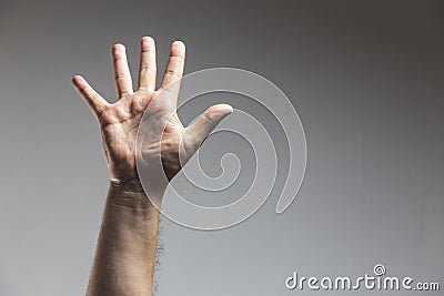 male adult hand showing number five gesture in studio shot isolated on grey background - Male hand palm Stock Photo