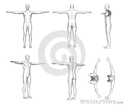 Male Anatomy Stock Photo