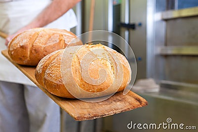 Male baker baking bread Stock Photo
