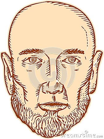 Male Bald Head Bearded Etching Vector Illustration