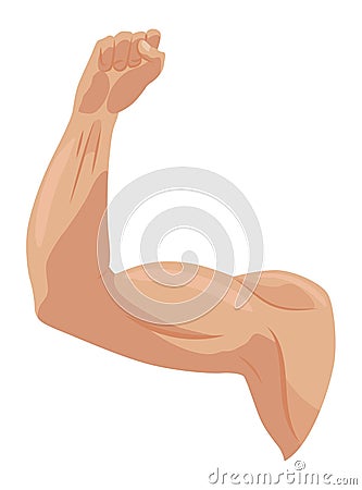 Male biceps muscles icons set. Sportsman arm with strong biceps. Vector symbol of healthy power. Athletic body with Vector Illustration