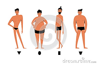 Male body shapes set - inverted triangle, oval, rectangle, rhomboid figure types. Human anatomy body shapes cartoon Vector Illustration