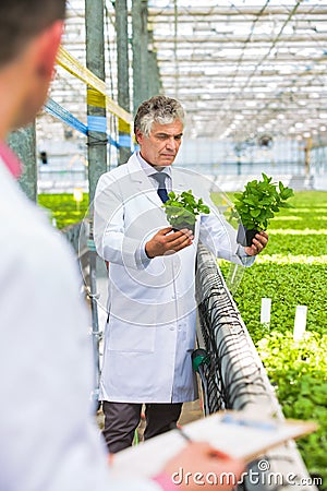 Male botanists examining herbs while writing on clipboard in plant nursery Stock Photo
