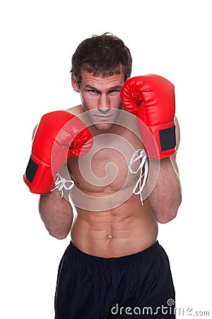 Male boxer isolated Stock Photo