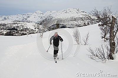 Male cross country skier Stock Photo