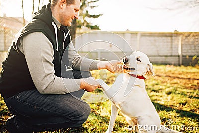 Male cynologist with trained working dog Stock Photo
