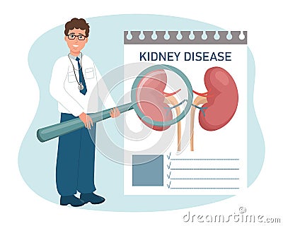 A male doctor with a magnifying glass examines diseases of the kidneys, urinary system. Medical healthcare concept. Vector Illustration