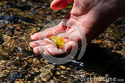 Male european hand refreshing in meditative zen atmosphere in a crystal clear water of a flat little creek with silky ripples Stock Photo