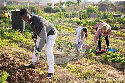 male farmer digging empty beds Stock Photo