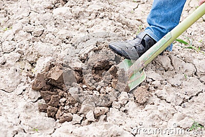 Male farmer digging Stock Photo