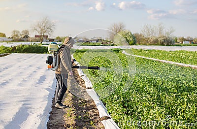 Male farmer with a mist sprayer processes potato bushes with chemicals. Protection of cultivated plants from insects and fungal Stock Photo