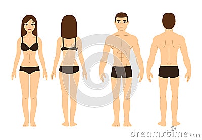 Male and female body Vector Illustration