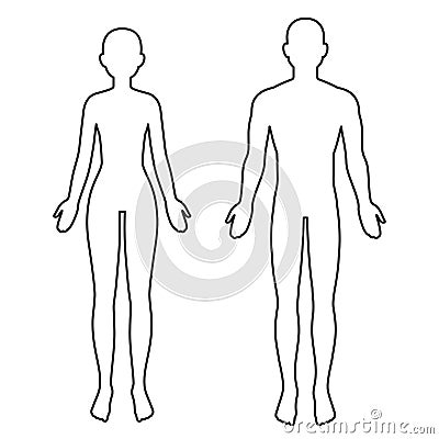 Male and female body outline Vector Illustration