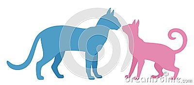 Male and female cat Vector Illustration