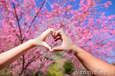 male and female couple showing their hands up to form heart symbol to show friendship love and kindness because heart is symbol of Stock Photo