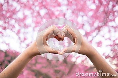 male and female couple showing their hands up to form heart symbol to show friendship love and kindness because heart is symbol of Stock Photo