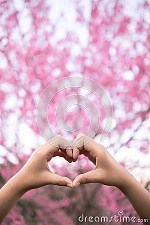 male and female couple showing their hands up to form heart symbol to show friendship love and kindness because heart is symbol of Stock Photo