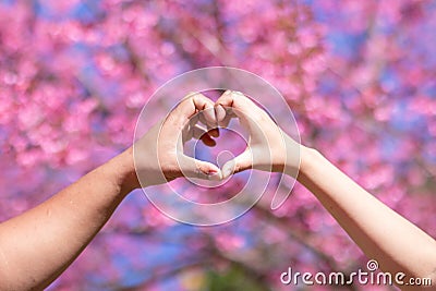 male and female couple showing their hands up to form heart symbol to show friendship love and kindness because heart is symbol of Stock Photo