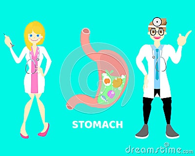 Male and female doctor with stomach gastric,internal organs anatomy body part nervous system, background Vector Illustration