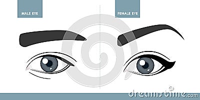 Male and Female eyes. Vector illustration Vector Illustration