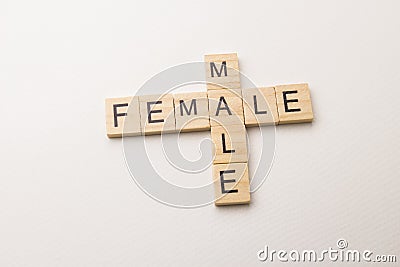 Male&female crossword on white background Stock Photo